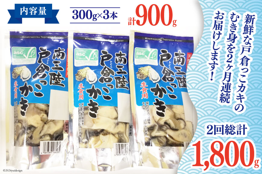 期間限定発送】2回 定期便 牡蠣 生食 南三陸町産 戸倉っこカキ 300g×3本 計900g [宮城県漁業協同組合志津川支所 宮城県 南三陸町  30an0004] 生カキ 生食用 剥き身 かき カキ 生ガキ むき身 むき: 南三陸町ANAのふるさと納税｜ANAのマイルが「貯まる」