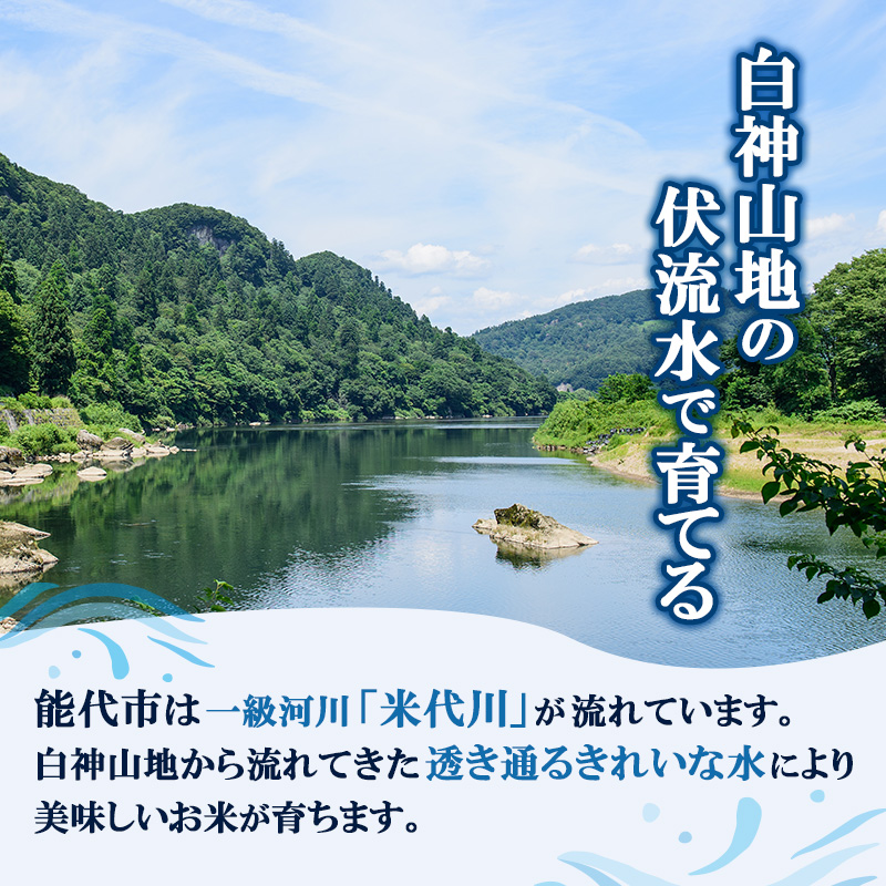 米 お米 無洗米 あきたこまち 孫兵衛のあきたこまち 5kg 秋田県 能代市 令和7年産 ブランド米 ご飯 おにぎり お弁当 和食 産地直送 有機肥料