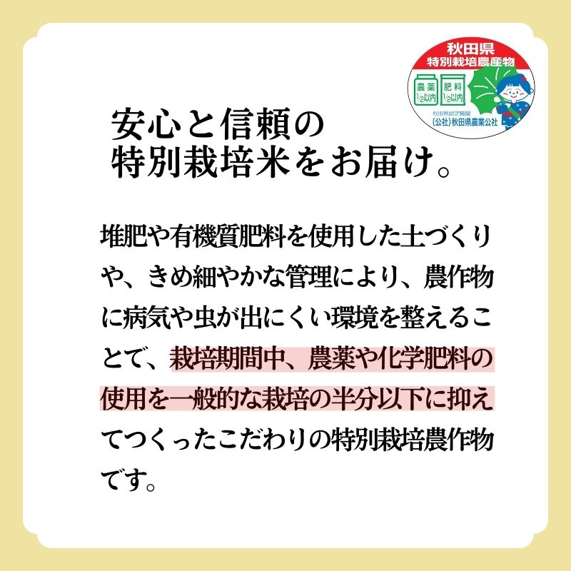 米 あきたこまち 30kg (5kg×6袋) 令和7年産 白米 精米 こめ お米 おこめ 令和7年 特別栽培米 産地直送 ご飯 ごはん 秋田こまち 秋田 秋田県 能代市 特別栽培 減農薬