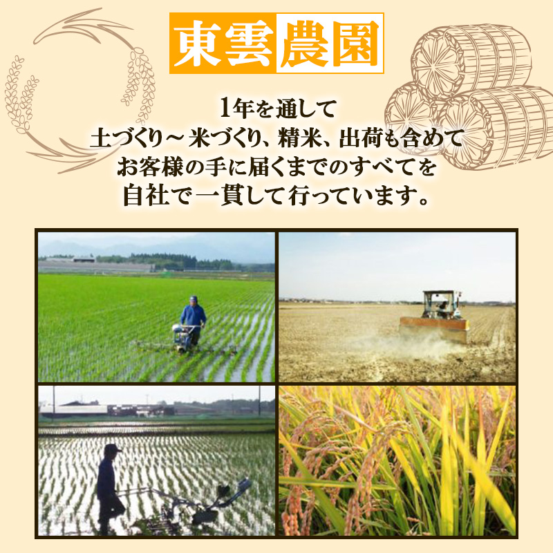 無洗米 佐藤家の米 あきたこまち 10kg (5kg×2袋) 秋田県 能代市 令和7年産  お米 米 精米 ブランド米 銘柄米 おにぎり