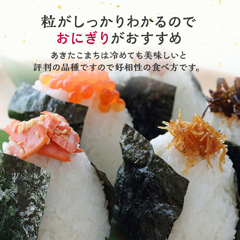 令和7年産 米 お米 《定期便6ヶ月》【白米】秋田県産 あきたこまち あきた種梅産こまち 杜の雫 こだわりの大粒 9kg（4.5kg×2袋）×6回 合計54kg