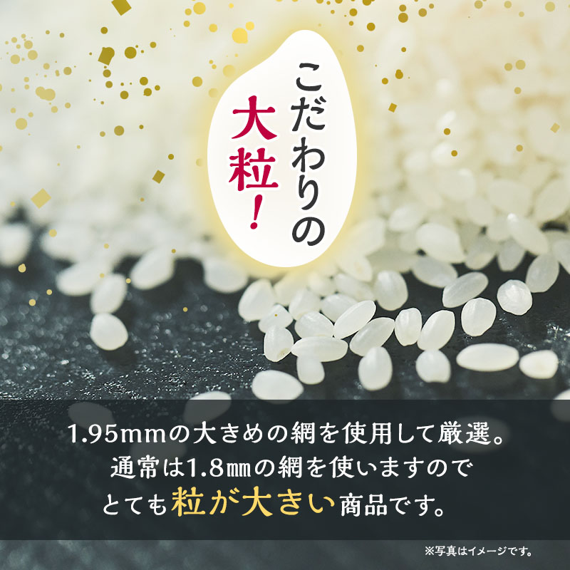 令和7年産 新米 米 お米 《定期便3ヶ月》【無洗米】秋田県産 あきたこまち あきた種梅産こまち 杜の雫 こだわりの大粒 4.5kg×3回 合計13.5kg