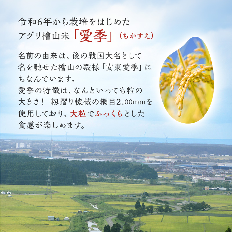 令和7年産 新米 アグリ檜山米 愛季(ちかすえ) 白米 5kg  あきたこまち  精米 お米 おこめ こめ コメ ごはん ご飯 大粒 令和7年  秋田 秋田県 能代市