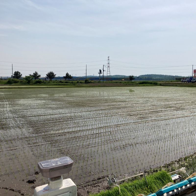 玄米 農家直送！うまい!! 本場のあきたこまち 10kgご飯 ブランド米 おにぎり 令和7年産 産地直送 おこめ ごはん 秋田県 秋田 能代市 お米 銘柄米 お弁当 和食