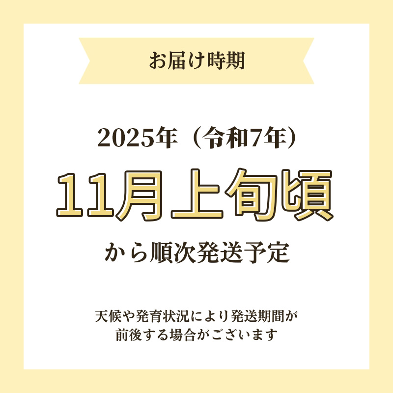 【新米予約】【玄米】特別栽培米サキホコレ10kg(5kg×2) 令和7年産 秋田県 にかほ市 お米 米 こめ 玄米 新米