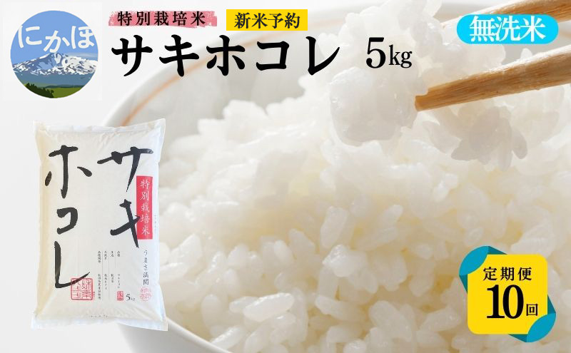ふるさと納税 秋田県産おばこの匠あきたこまち　5kg （5kg×1袋）玄米 秋田県大仙市 ふるさと納税無洗米\u203bR７\u203b《定期便12ヶ月》秋田県産
