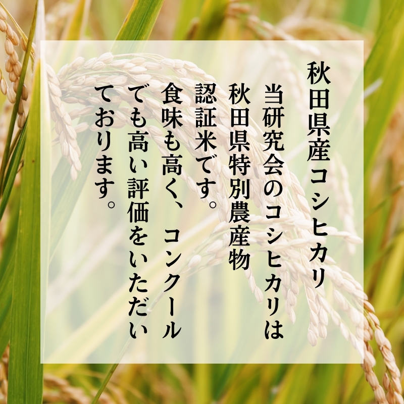 令和7年産11月から発送 特別栽培米 鰰米 コシヒカリ にかほ 精米 10kg