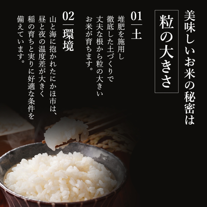 米 定期便 全12回 秋田県産 ひとめぼれ 5kg ×12回 計60kg 令和7年産〈土づくり実証米〉JAしんせい【 精米 白米 米 コメ お米 おこめ ブランド米 ご飯 ごはん 新米 低たんぱく 産地直送 送料無料 高評価 秋田 にかほ 】