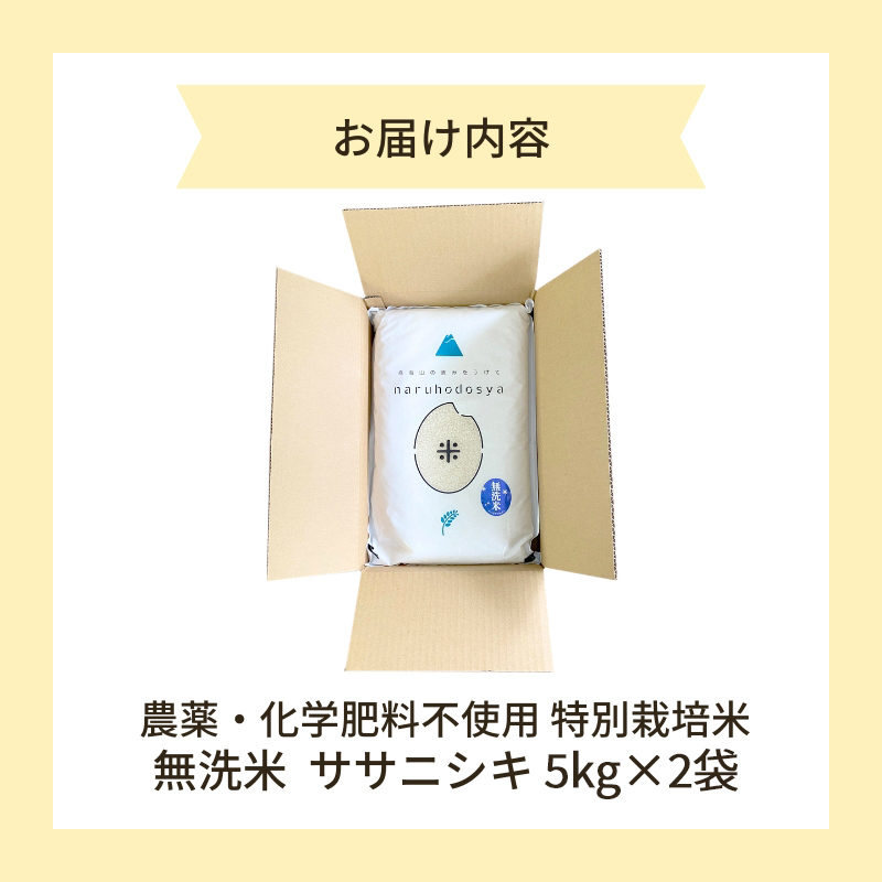 100％本物保証！ 新米予約 栽培期間中 農薬・化学肥料不使用【無洗米】特別栽培米 米・雑穀・粉類