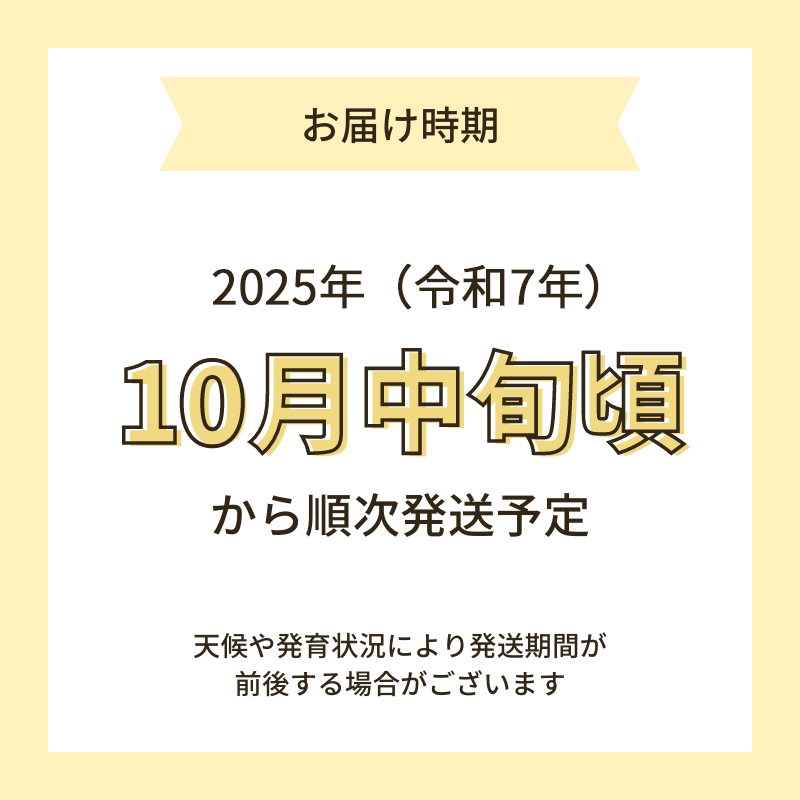 栽培期間中 農薬・化学肥料不使用【玄米】特別栽培米ササニシキ10kg （5kg×2） 令和7年産 秋田県 にかほ市 お米 米 こめ