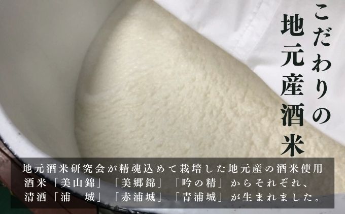 にごり本生原酒「浦城」雪景色720ml×2本 純米吟醸 お酒 日本酒 純米吟醸酒