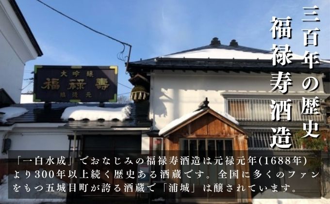 【生酒】純米吟醸無濾過原酒「浦城」生＆雪景色(にごり酒）飲み比べ2本セット  720ml 各1本 お酒 日本酒 純米吟醸酒 期間限定 本生原酒 生原酒 季節限定酒