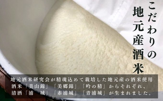 【生酒】純米吟醸無濾過原酒 にごり酒「浦城 雪景色」「赤浦城 雪景色」「青浦城 雪景色」飲み比べ3本セット　720ml 各1本 お酒 日本酒 香り 果実味 美味しい リピーター