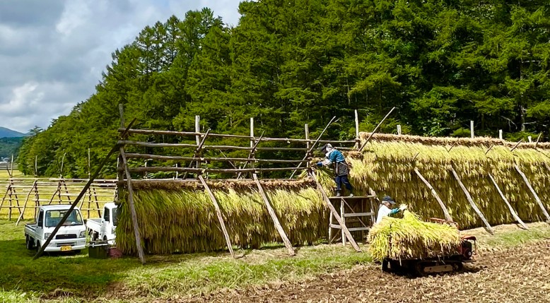 天の戸 一燈・オーガニック2025 edition 生酒 720ml×1本 [ 酒 日本酒 お酒 オーガニック ]