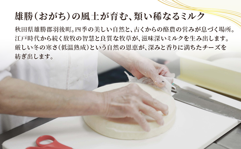 秋田 羽後 チーズ モッツァレラ「雄勝モッツァレラ80g」3個［明通りチーズ工房］モッツァレラチーズ ナチュラル フレッシュ【 チーズ 乳製品 サラダ オリーブオイル ワイン 麦酒 ビール 酒 】