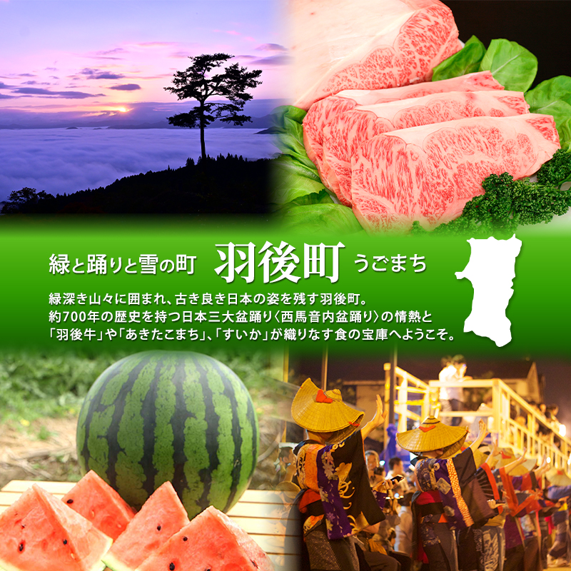 先行予約 アトリエ小町　ワンピース （renka ep2）ギンガムチェック・ブラック フリーサイズ　青木美沙子さんコラボ [服 ロリータ ロリータファッション スイートロリータ 可愛い レディース 姫 お姫様 チェック ]