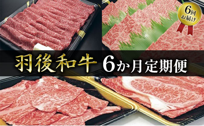 部位・量おまかせ！羽後和牛定期便（6ヶ月） 牛肉 お肉