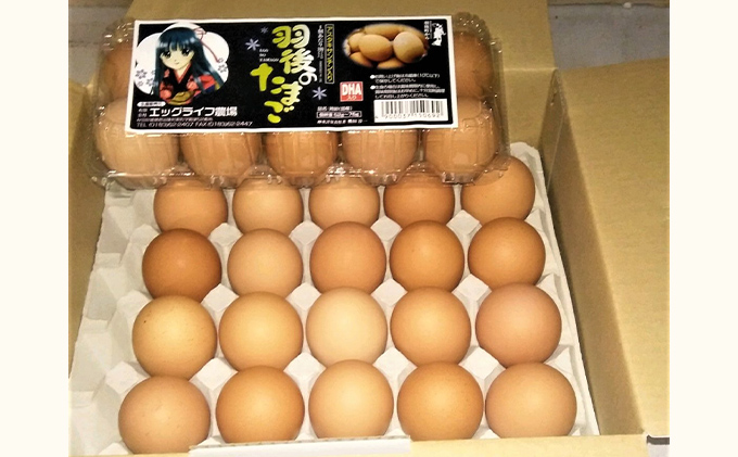 羽後のたまご 30個（27個+割れ補償3個） 生卵 活性酸素 抑制 抗酸化力 アスタキサンチン DHA 美味しい 健康維持