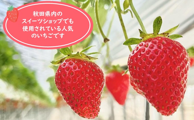 冷凍いちご　2kg（500g×4）国産 イチゴ ジャム スムージー お菓子づくり 果物 フルーツ 冷凍果物 冷凍フルーツ そのまま トッピング フローズンイチゴ ストロベリー