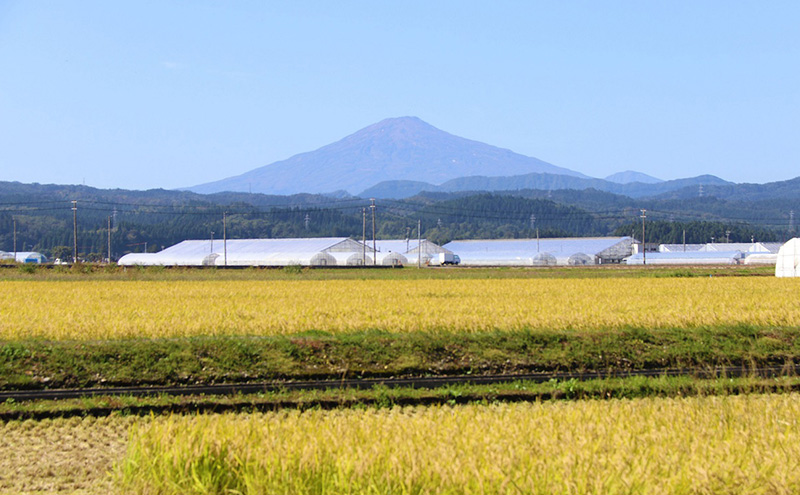 【返礼品なし】秋田県羽後町への寄付 応援 支援 寄附のみ 3,000円【羽後町ふるさと納税】