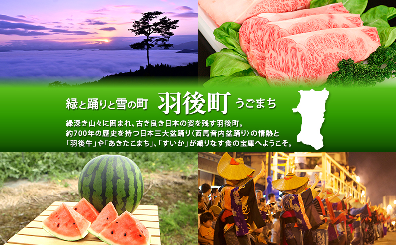 つぶマスタード (パウチタイプ)  ペパマス 200g×1本 加工食品 調味料 ジャム工房仕込み マスタード