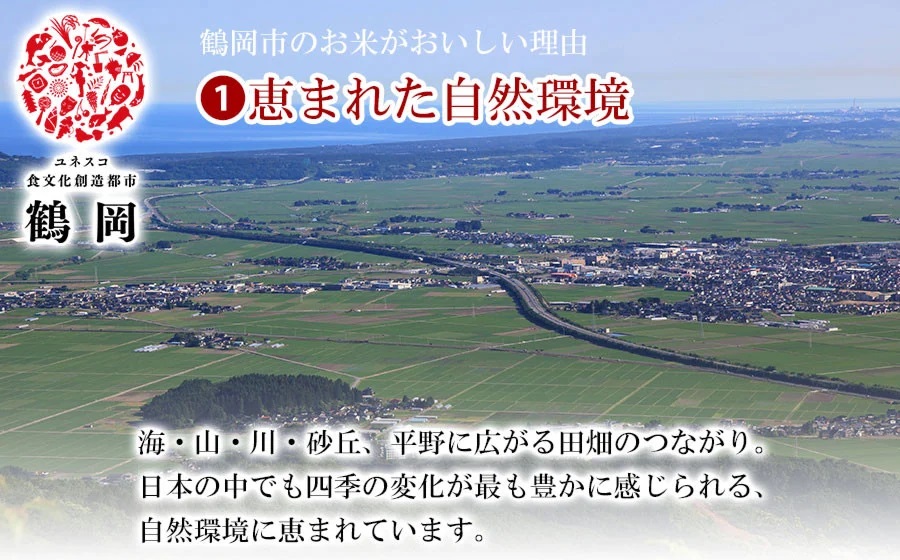 【令和6年産】 特別栽培米 つや姫 無洗米　5kg（5Kg×1袋） 山形県鶴岡市産　米食味鑑定士お薦め