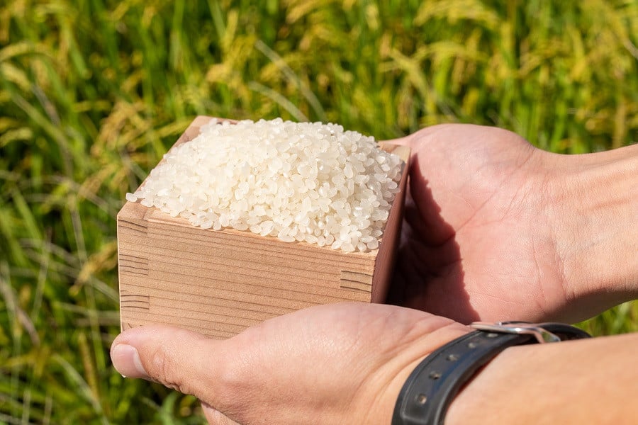 【令和7年産】 馬町さくらファームのはえぬき 精米 15kg（5kg×3袋）　K-7147