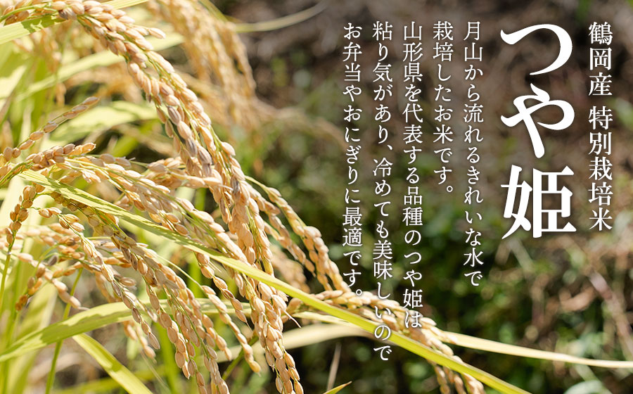 【令和7年産】【新米】 黒川まるいし農場の特別栽培米　つや姫　玄米　5kg 　山形県鶴岡市産　K-742