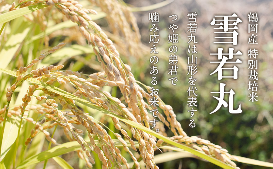 【令和7年産】 黒川まるいし農場の特別栽培米 雪若丸 5kg　山形県鶴岡市産　K-745