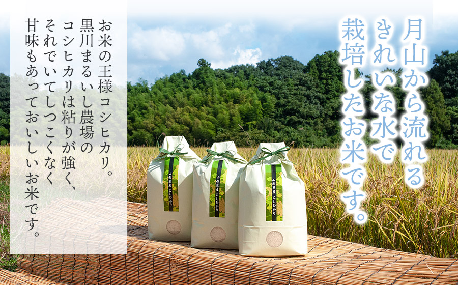 令和7年産先行予約】 黒川まるいし農場の特別栽培米 コシヒカリ