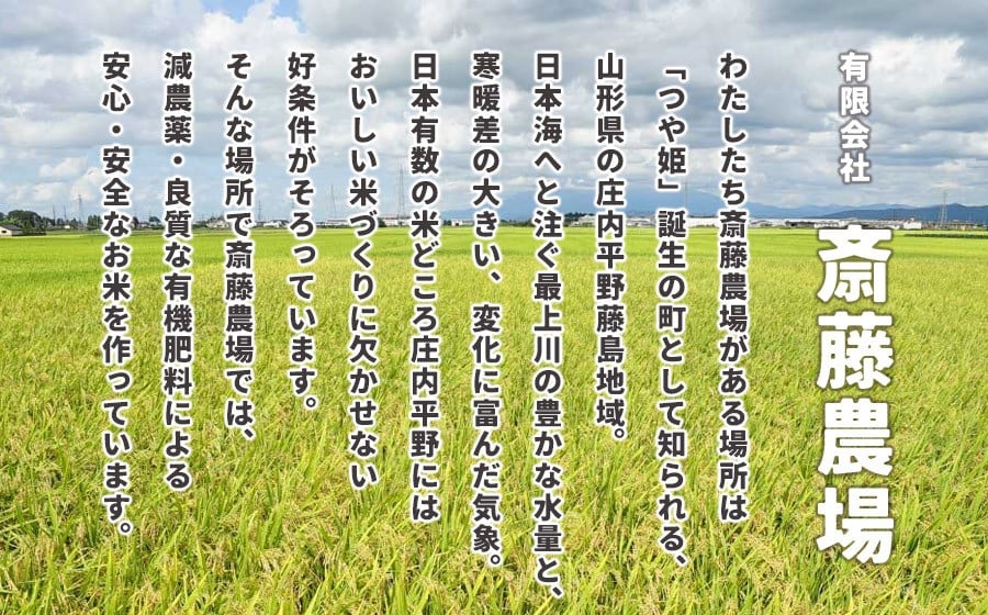 【令和7年産】【新米】 斎藤農場の特別栽培米 つや姫 無洗米 5kg(5kg×1袋) 山形県鶴岡市 K-756