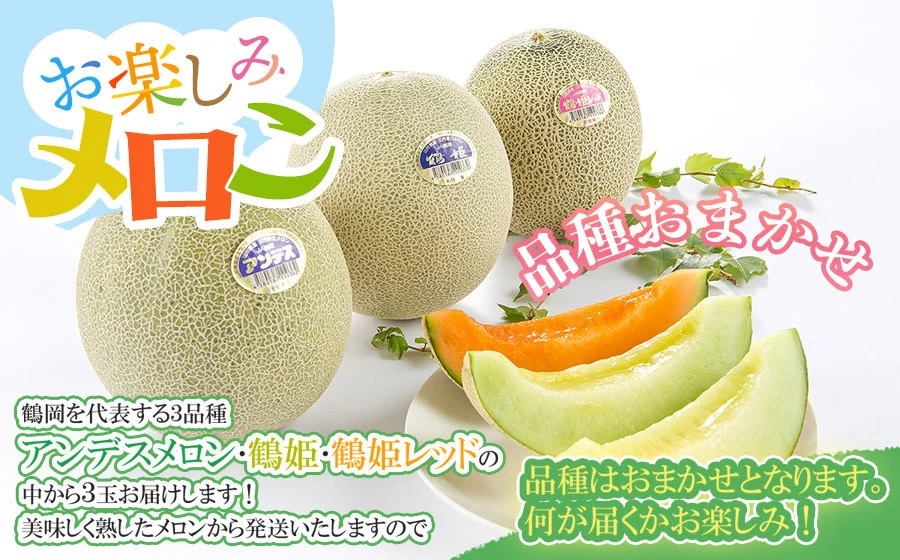 【令和8年産先行予約】 お楽しみメロン　2Lサイズ 3玉セット（アンデスメロン・鶴姫メロン・鶴姫レッドメロン の中から3玉お届け）山形県庄内産　JA鶴岡 K-836