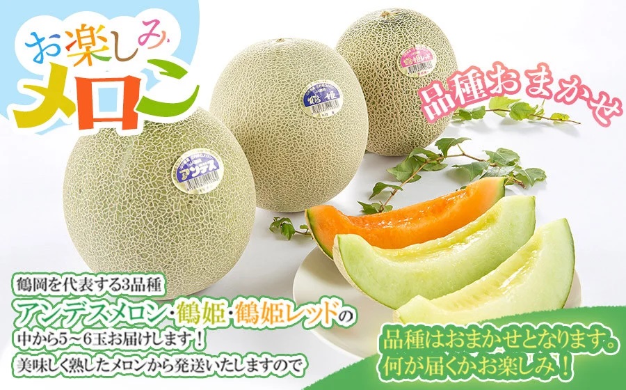 【令和8年産先行予約】お楽しみメロン 3L5玉セット または 2L6玉セット 山形県 庄内産 砂丘メロン 食べ比べ K-860　JA鶴岡