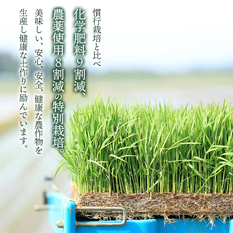 【令和7年産】【新米】特別栽培米つや姫 白米 1kg　山形県鶴岡市産　出羽弥兵衛 株式会社