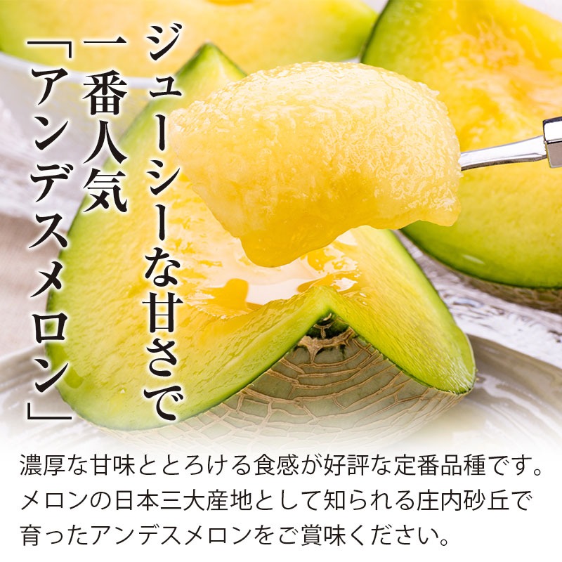 【令和6年産先行予約】 秋どりアンデスメロン 2玉（3L） 山形県鶴岡市産 庄内砂丘メロン　小林ファーム