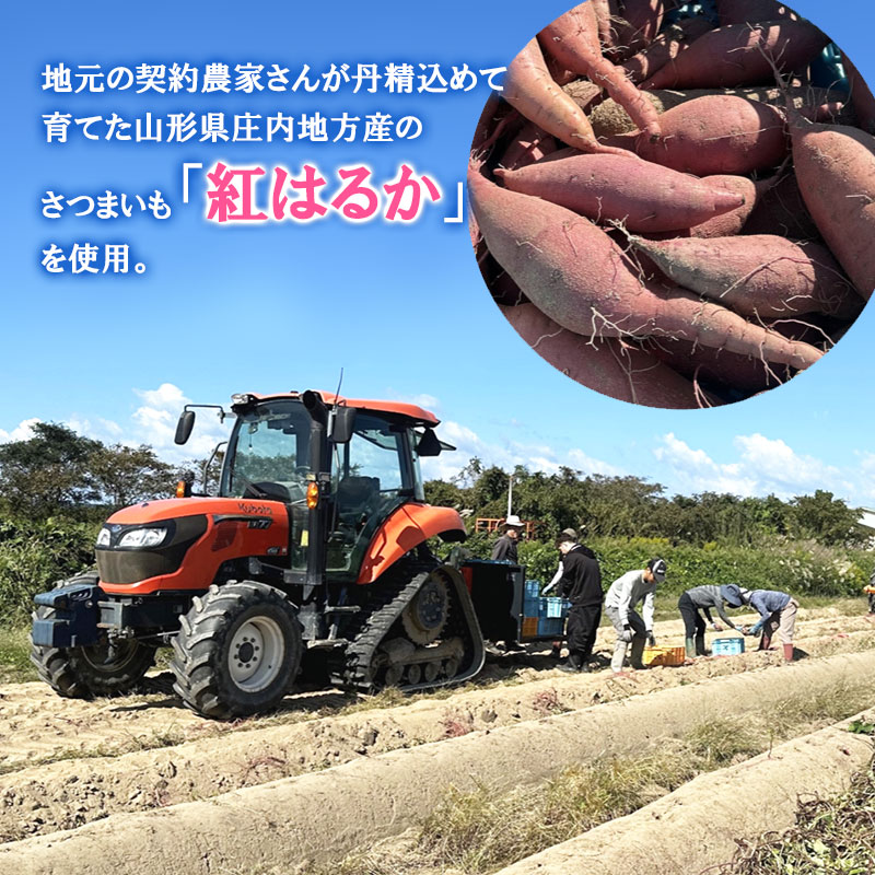 干し芋 極 5袋セット　山形県鶴岡市 まるい食品 K-732
