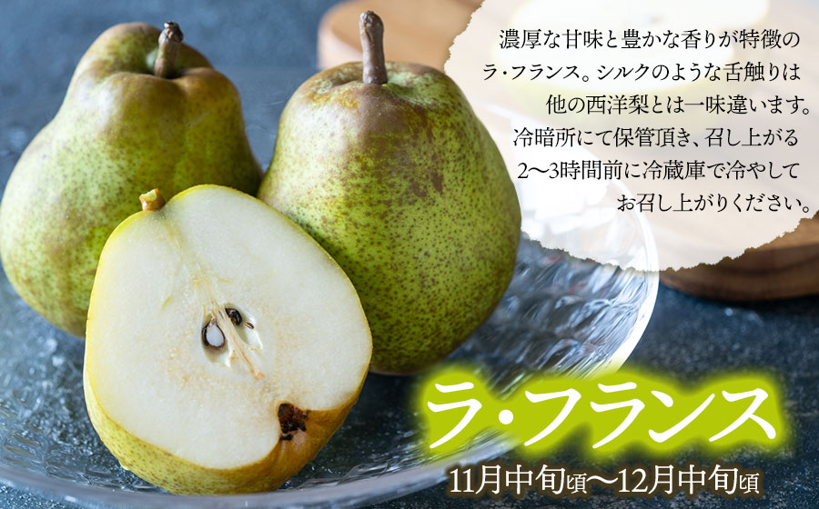 【令和8年産先行予約】鶴岡市産 ラ・フランス（洋梨） 約3kg（8～12玉）　K-822