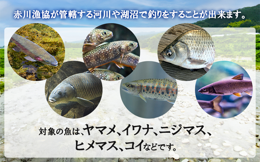 雑魚　遊漁証（赤川漁業協同組合管内河川）【期間：令和8年4月1日～9月30日まで】