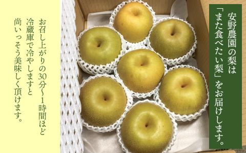 【令和8年産先行予約】「恋する甘さ！」こだわりの和梨 幸水か豊水　秀品3kg(5～10玉)　山形県鶴岡産　安野農園