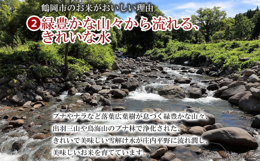 【令和6年産】 特別栽培米 つや姫 無洗米　5kg（5Kg×1袋） 山形県鶴岡市産　米食味鑑定士お薦め