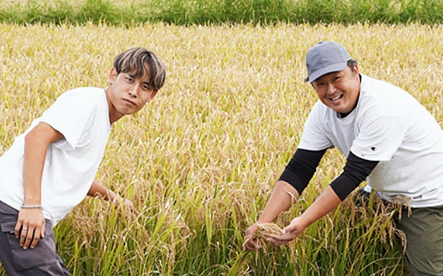 【定期便】令和7年産 特別栽培米 つや姫 精米 5kg×3ヶ月 山形県鶴岡市産 株式会社嘉左エ門
