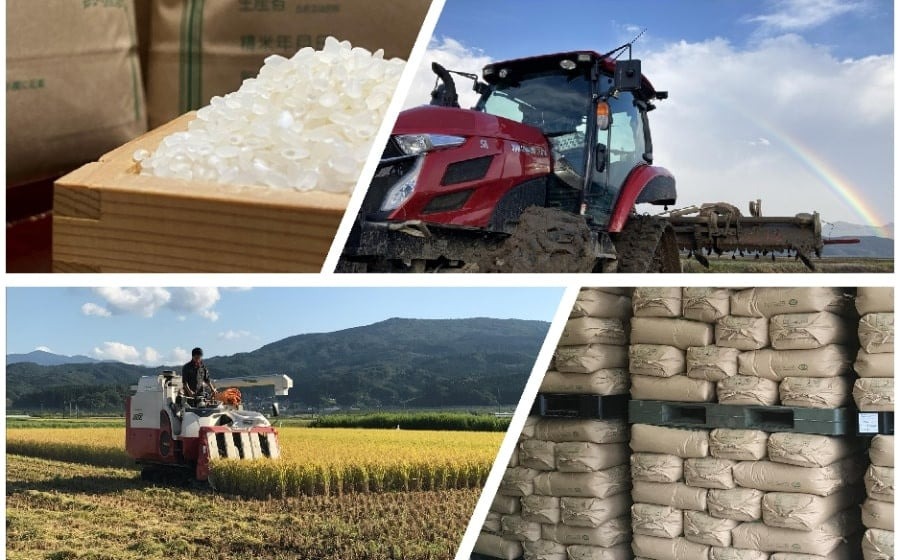 【令和7年産】Gセレクション はえぬき 白米 5kg(5kg×1袋) 山形県鶴岡市産　株式会社グラノフ