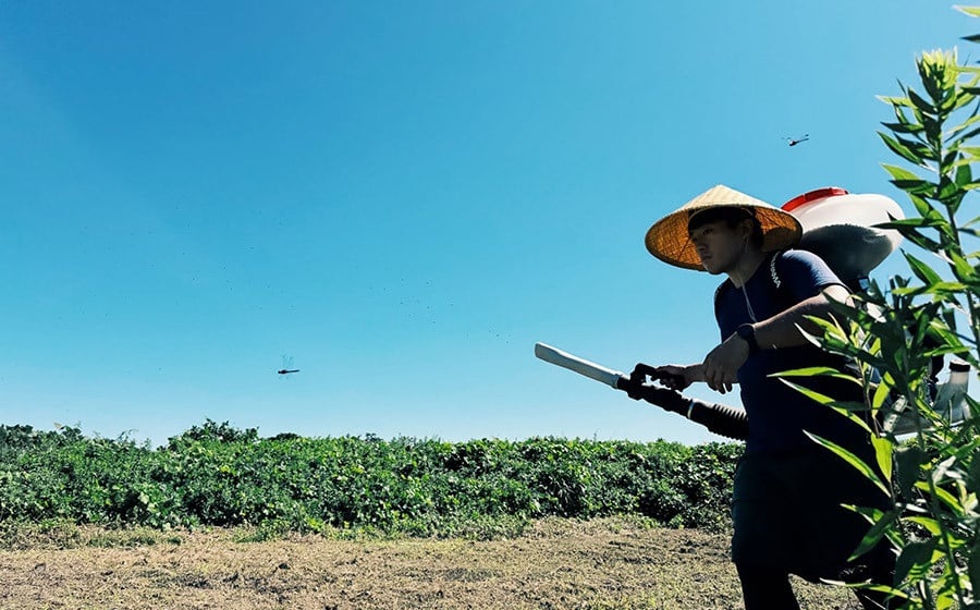 【令和7年産】庄内おばこ農場の特別栽培米 つや姫 精米 10kg (10kg×1袋)　K-7105