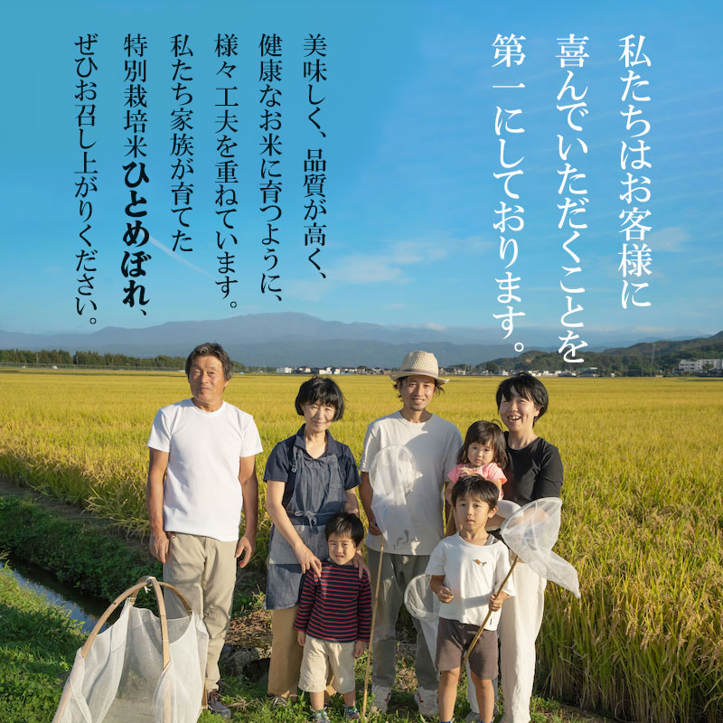 【令和7年産先行予約】 富樫農園の特別栽培米ひとめぼれ 精米 5kg 山形県鶴岡市産　K-732