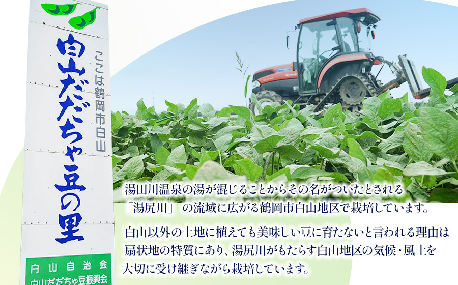 【令和8年産先行予約】【訳あり】白山だだちゃ豆　4kg（1kg × 4袋）　長五郎