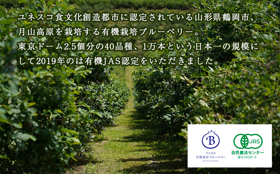 月山高原鈴木農園のブルーベリージュース【加糖】３本セット　K-669