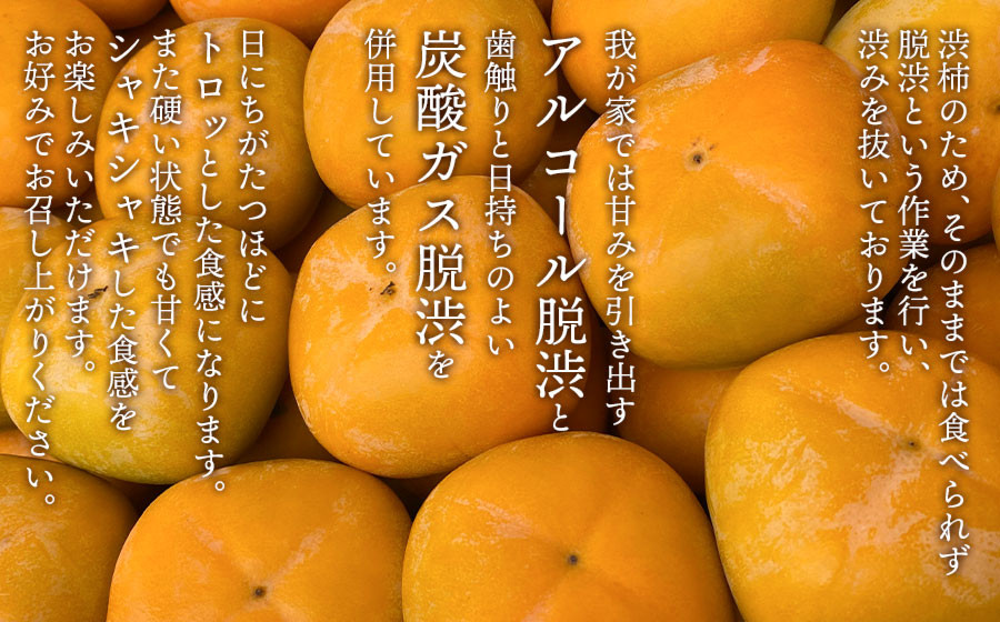 【令和8年産先行予約】家庭用庄内柿 たねなし柿 平核無柿 脱渋済み 約2kg（12～18玉）　山形県鶴岡市　重ちゃん農園
