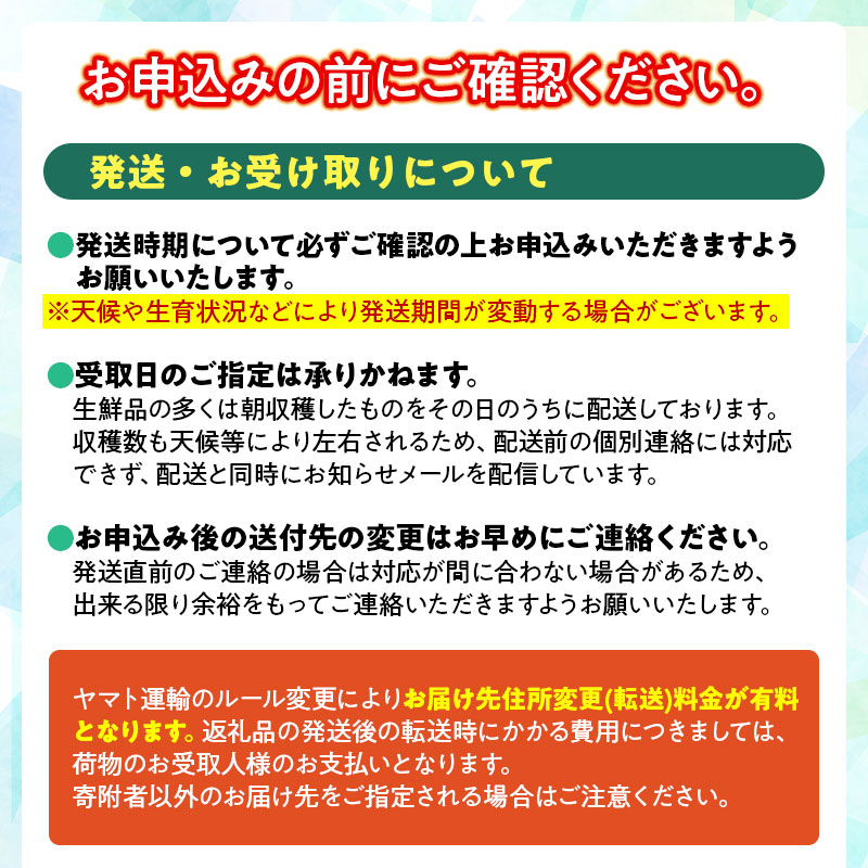 【令和8年産先行予約】鶴岡市産 シルバーベル（洋梨） 約3kg 泉屋商店　K-819