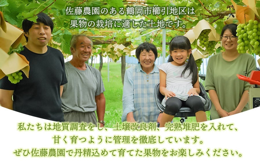 【令和8年産先行予約】干柿 1パック6個入り×4ケース 鶴岡市産　佐藤農園