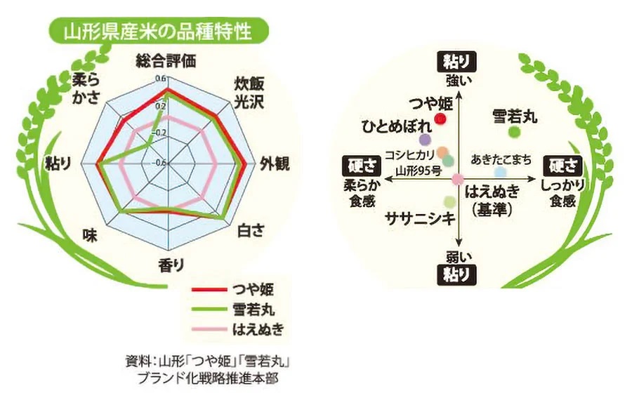 つや姫　精米5kg　庄内観光物産館